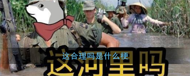 这合理吗是什么梗