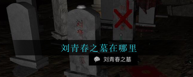 《孙美琪疑案：周芳》五级线索——刘青春之墓