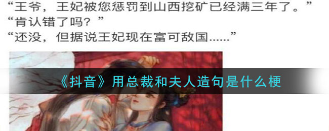 《抖音》用总裁和夫人造句是什么梗