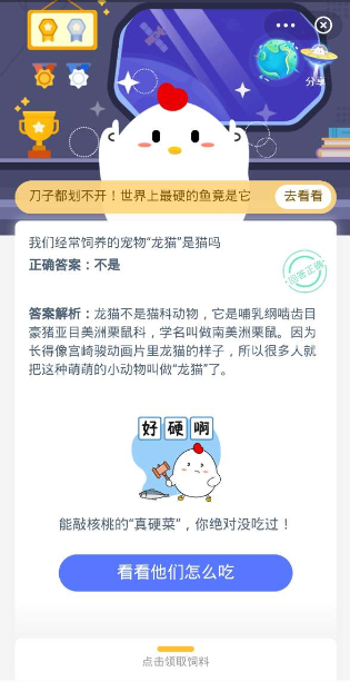 我们经常饲养的宠物龙猫是猫吗