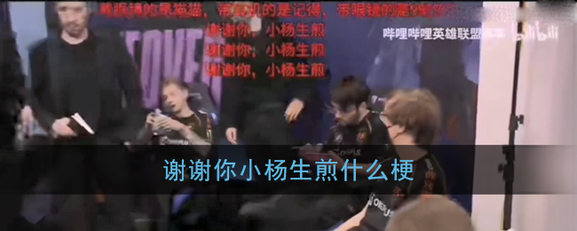 谢谢你小杨生煎什么梗