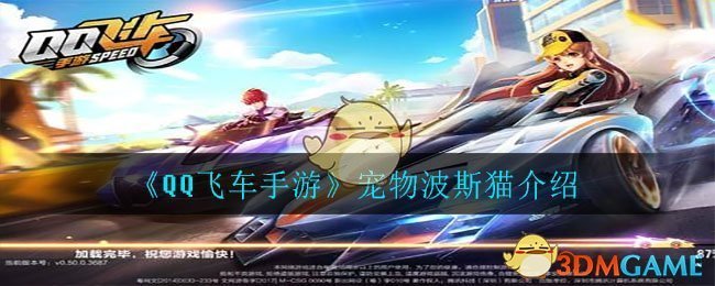 《QQ飞车手游》宠物波斯猫介绍