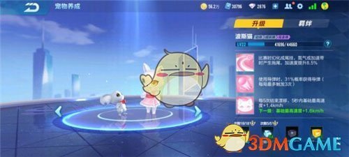 《QQ飞车手游》宠物波斯猫介绍