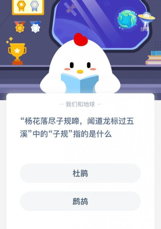 杨花落尽子规啼，闻道龙标过五溪中的子规指的是什么