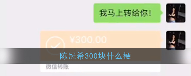 陈冠希300块什么梗