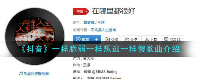 抖音式脆弱逃避痴傻之歌