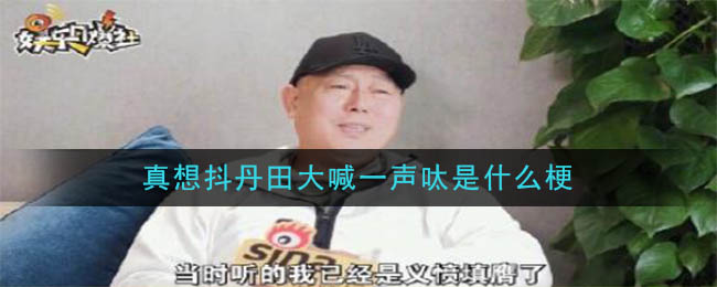 真想抖丹田大喊一声呔是什么梗