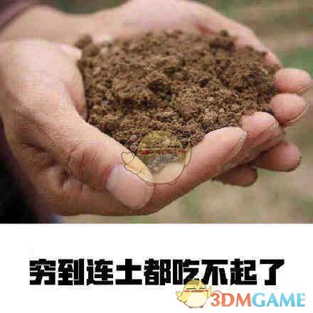 一夜变闰土是什么意思