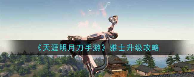 提升雅士境界指南