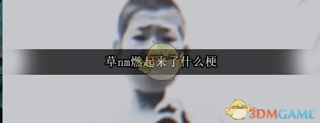 草nm燃起来了什么梗