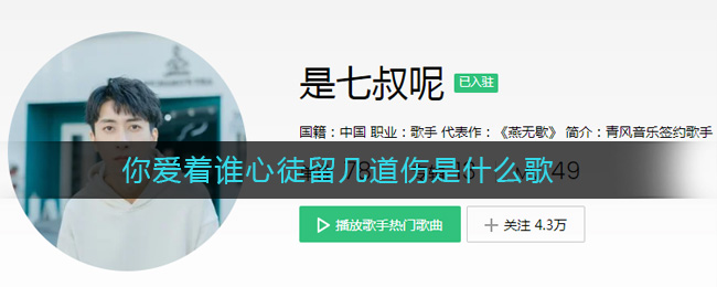 抖音里“你爱着谁心徒留几道伤”是啥歌,探寻热门歌曲答案