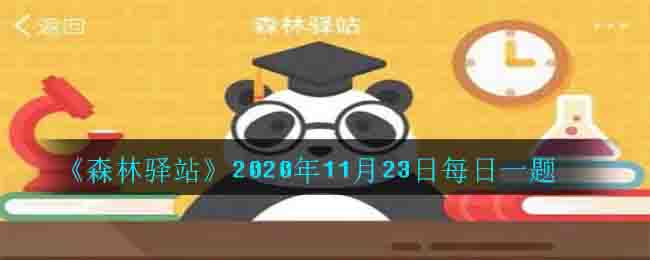 《森林驿站》2020年11月23日每日一题