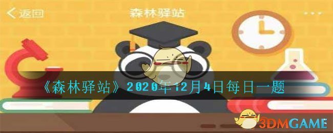 《森林驿站》2020年12月4日每日一题