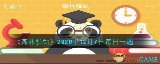 《森林驿站》2020年12月7日每日一题