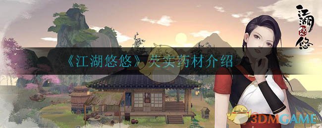 《江湖悠悠》芡实药材介绍