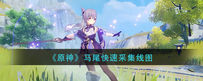 《原神》马尾快速采集线图