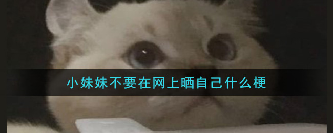 小妹妹不要在网上晒自己什么梗