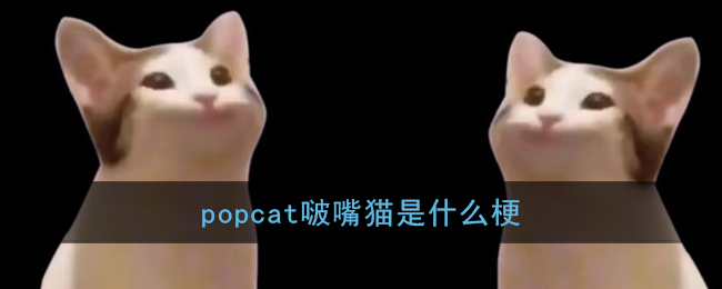 popcat啵嘴猫是什么梗
