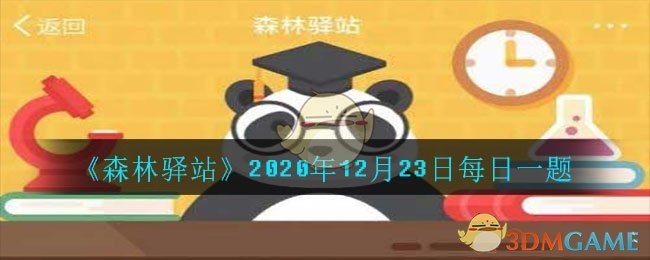 《森林驿站》2020年12月23日每日一题