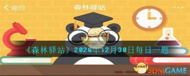 《森林驿站》2020年12月30日每日一题