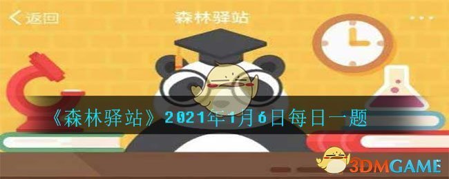 《森林驿站》2021年1月6日每日一题