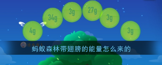 蚂蚁森林中带翼能量的来源揭秘