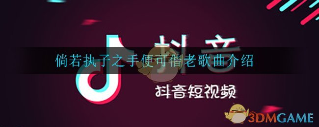 “牵手白头是哪首歌的歌词？”