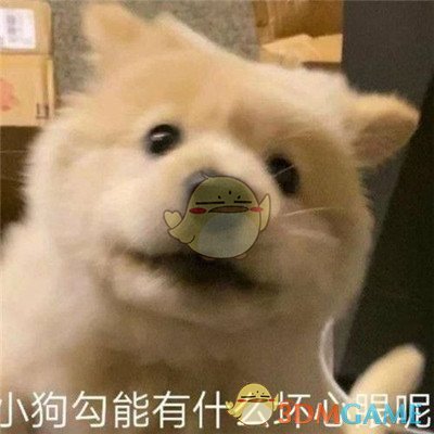 小狗狗能有什么坏心眼呢表情包分享