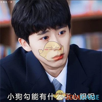 小狗狗能有什么坏心眼呢表情包分享