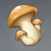 《原神》材料蘑菇介绍