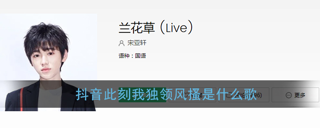 抖音此刻我独领风搔是什么歌