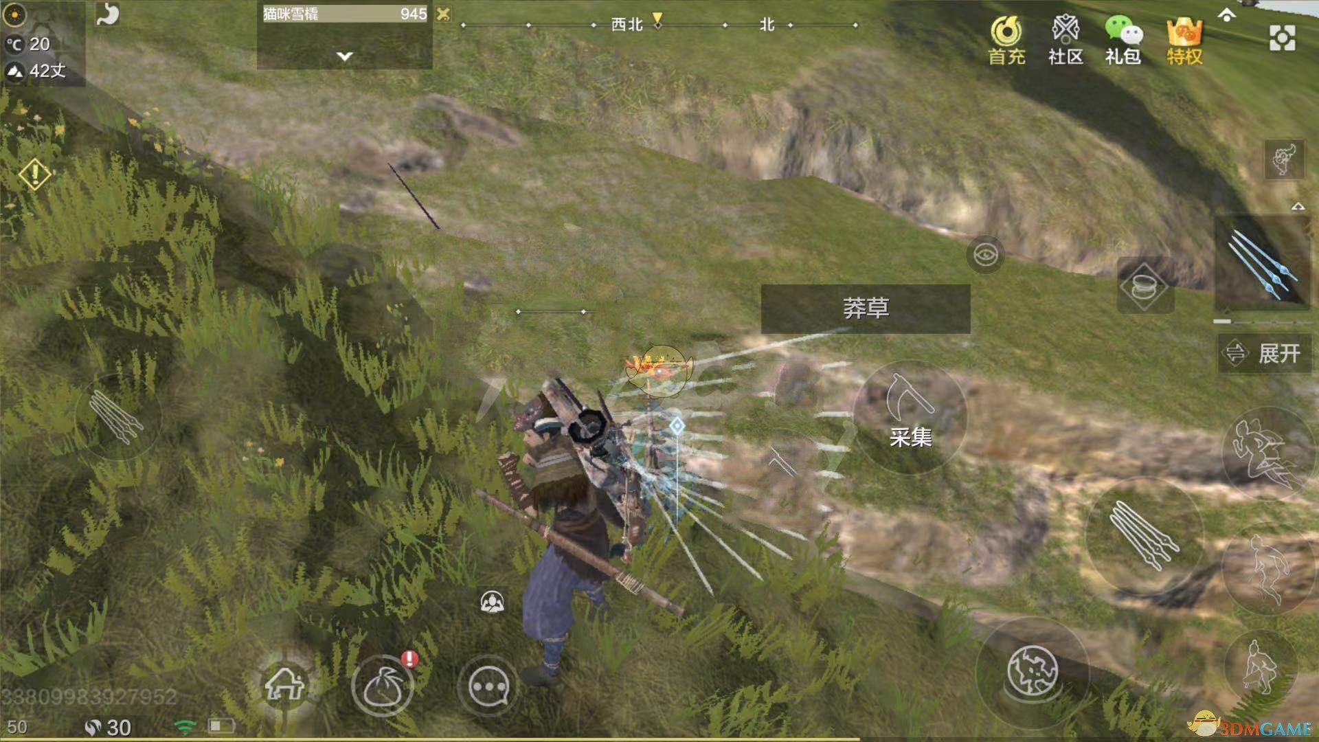 《妄想山海》莽草获取方法介绍