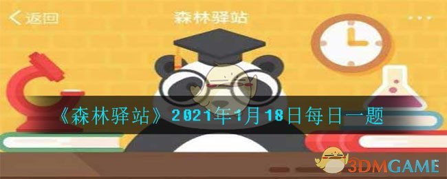 《森林驿站》2021年1月18日每日一题