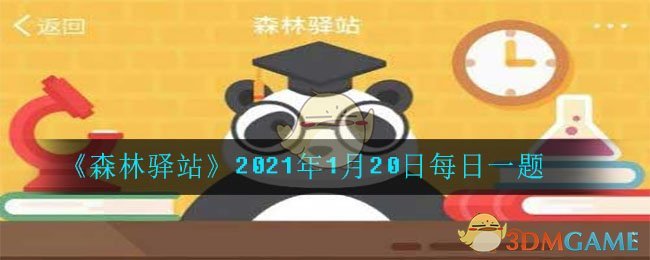 《森林驿站》2021年1月20日每日一题