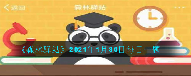 《森林驿站》2021年1月30日每日一题