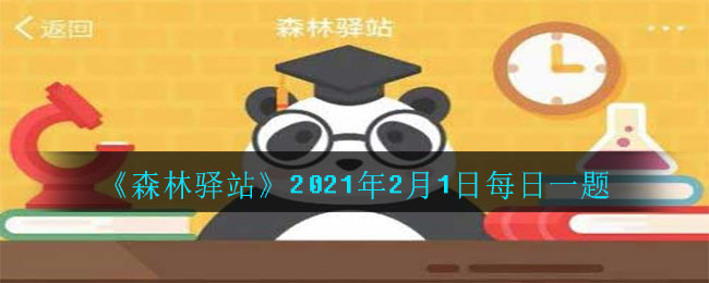 《森林驿站》2021年2月1日每日一题