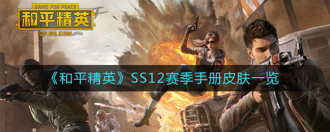SS12赛季和平精英手册皮肤评测