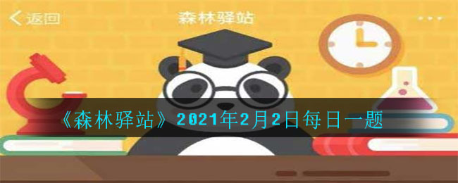 《森林驿站》2021年2月2日每日一题