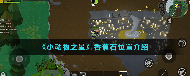 《小动物之星》香蕉石位置介绍