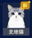 《原神》虎纹猫位置介绍