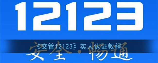 《交管12123》实人认证教程
