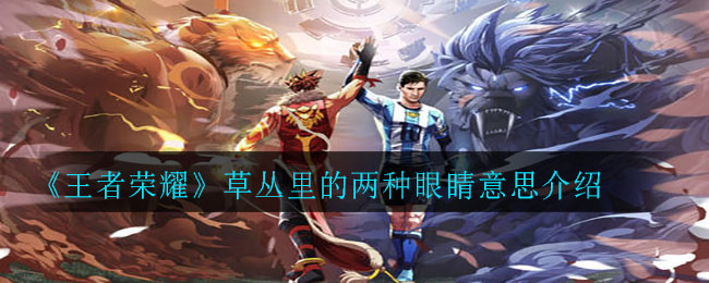 《王者荣耀》草丛里的两种眼睛意思介绍