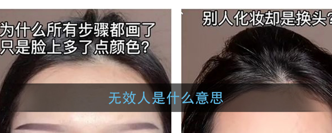 无效人是什么意思