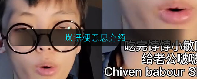 岚语是什么梗