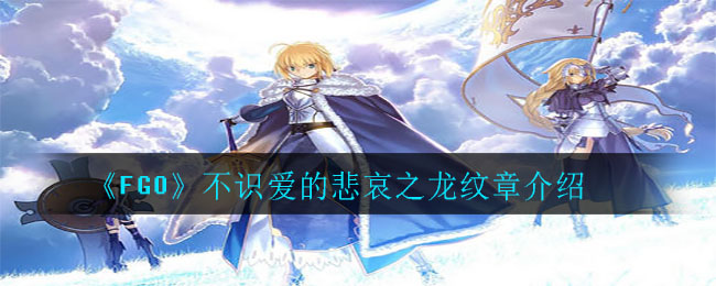 《FGO》不识爱的悲哀之龙纹章介绍