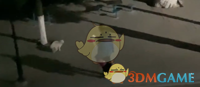 做一只有礼貌的猫是什么梗