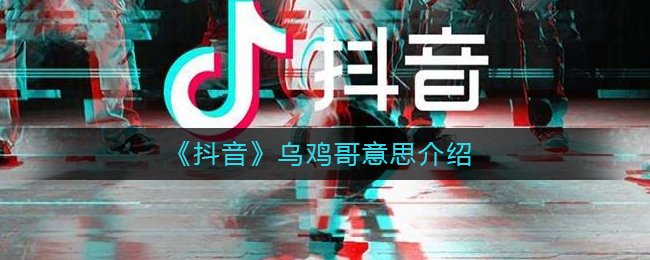《抖音》乌鸡哥意思介绍