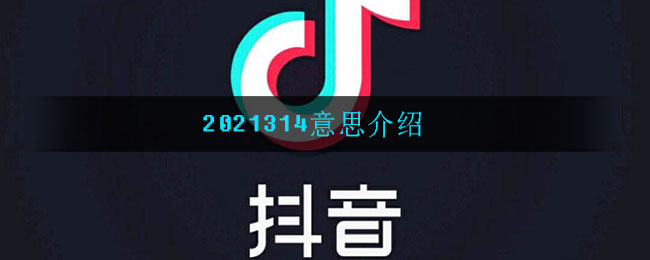 2021314是什么意思