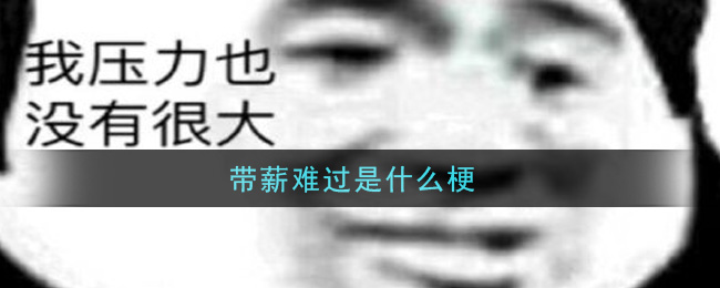 带薪难过是什么梗