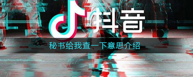 秘书给我查一下意思介绍